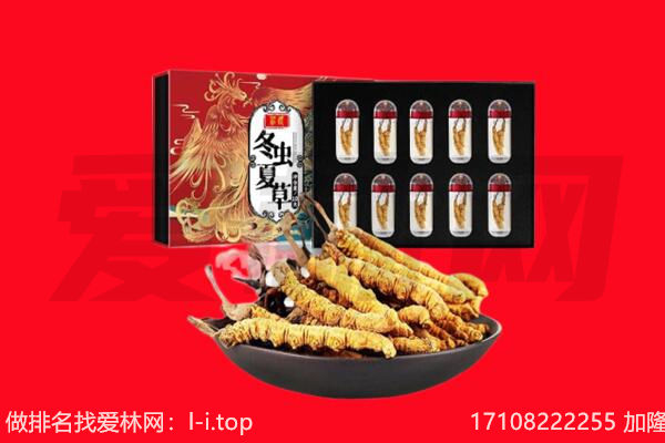 东莞市石排镇回收虫草.jpg